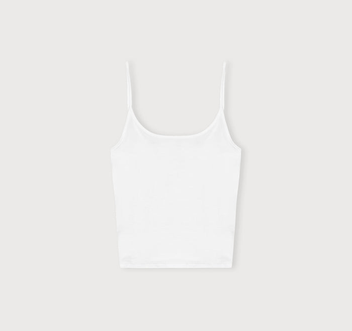 Core Singlet