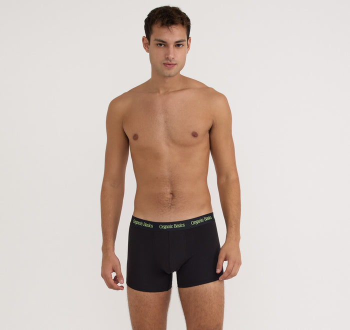 Core Trunks 6-Pack