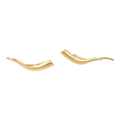 Flame Ear Crawler Earrings