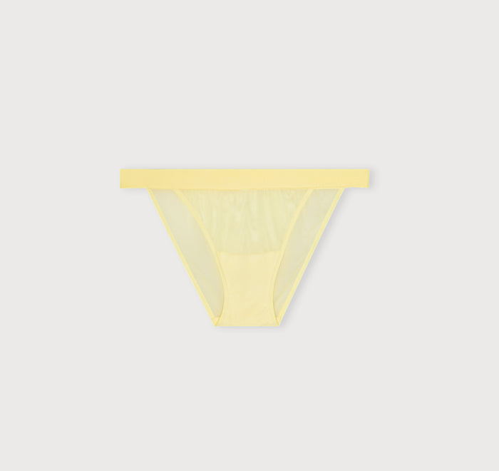 Mesh Tanga Briefs
