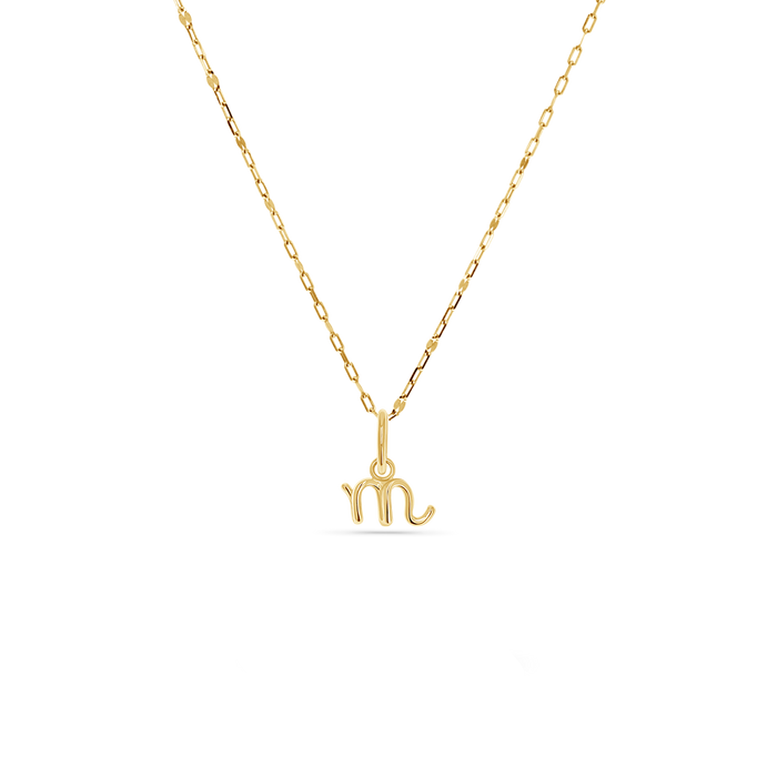 14k solid yellow gold charm of a lowercase letter in a cursive font. Round 5mm bail. On a dainty solid gold sequin chain.