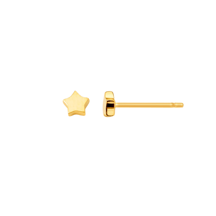 Petite Star Stud Earrings
