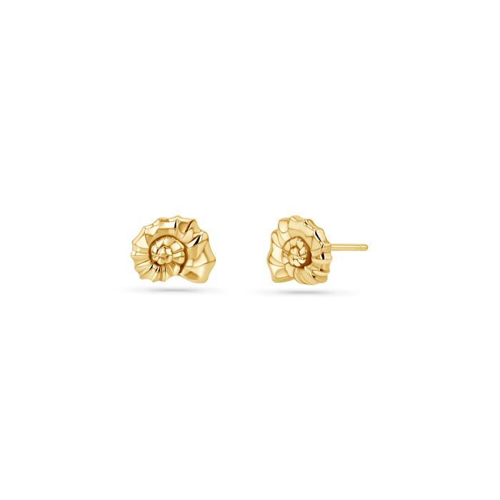 Soleil Nautilus Seashell Stud Earrings