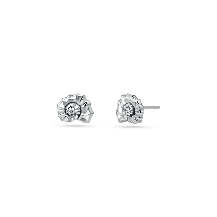 Soleil Nautilus Seashell Stud Earrings