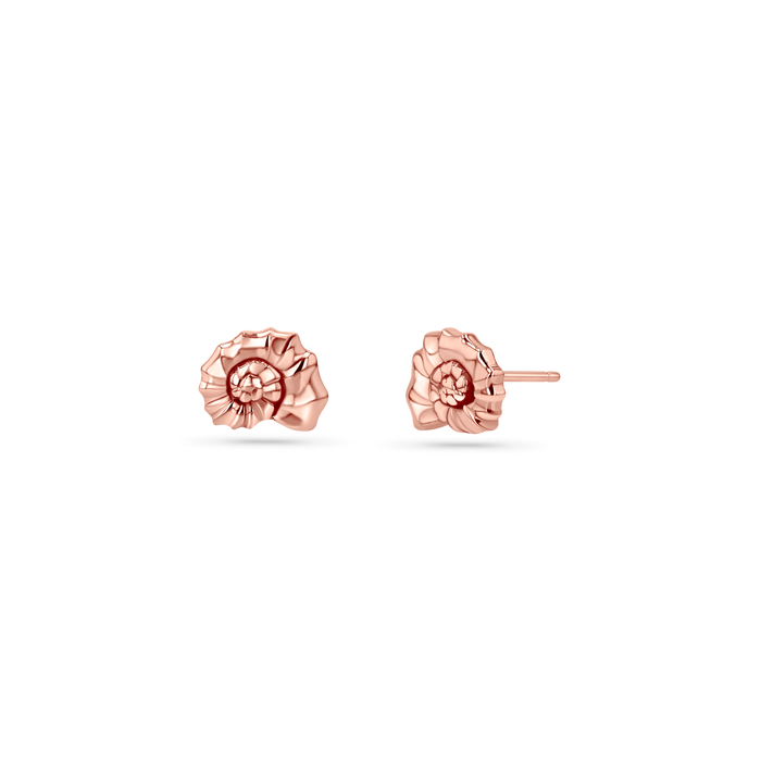 Soleil Nautilus Seashell Stud Earrings