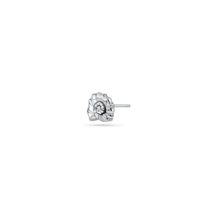 Soleil Nautilus Seashell Stud Earrings