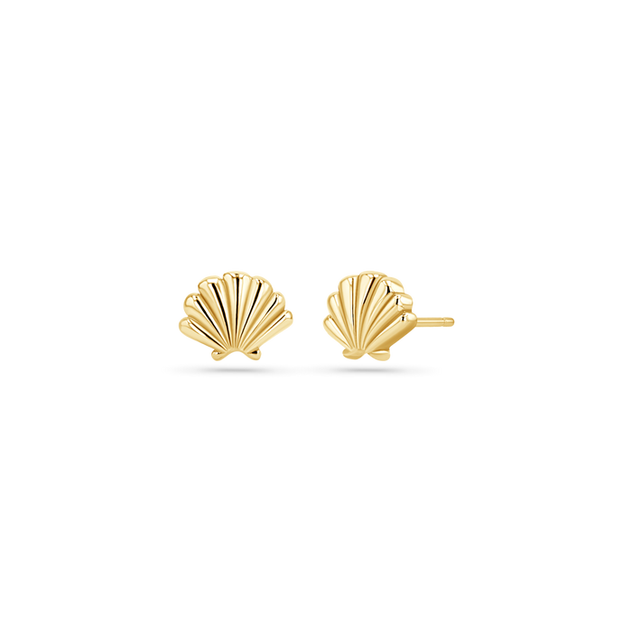 Soleil Scallop Seashell Stud Earrings