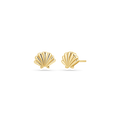 Soleil Scallop Seashell Stud Earrings