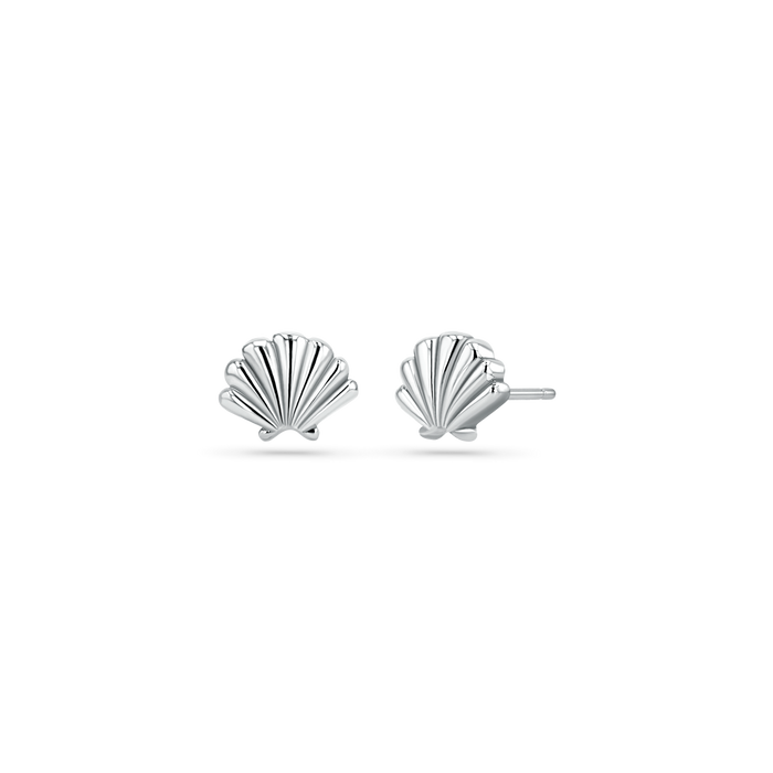 Soleil Scallop Seashell Stud Earrings