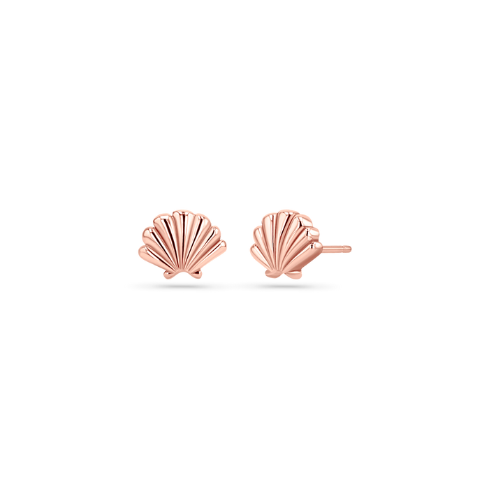 Soleil Scallop Seashell Stud Earrings