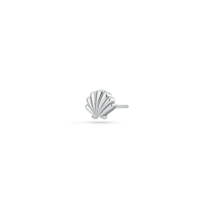 Soleil Scallop Seashell Stud Earrings