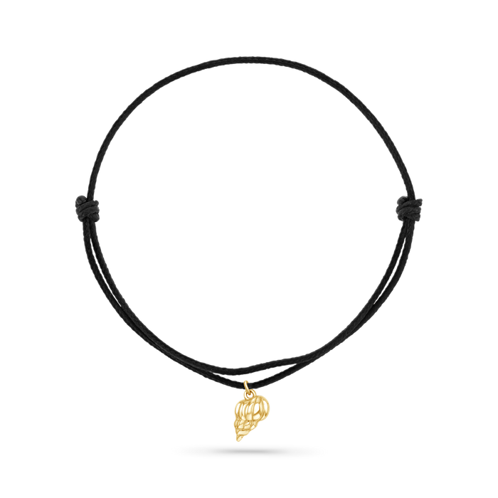 14K Yellow Gold / Tulip Seashell / Black Cord