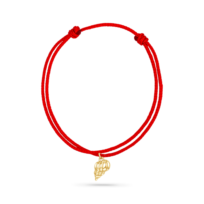 14K Yellow Gold / Tulip Seashell / Red Cord