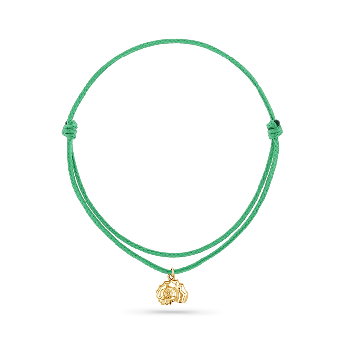 14K Yellow Gold / Nautilus Seashell / Green Cord