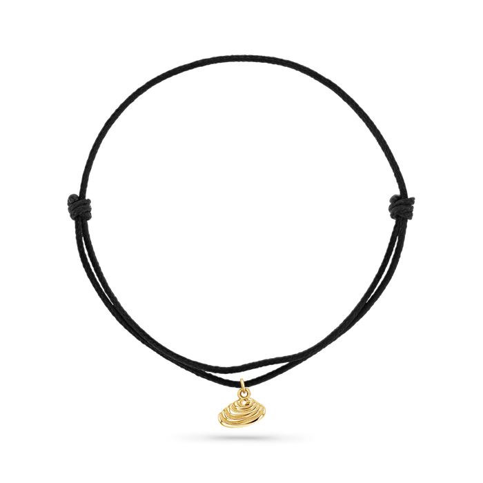 14K Yellow Gold / Venus Seashell / Black Cord