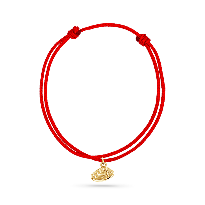 14K Yellow Gold / Venus Seashell / Red Cord
