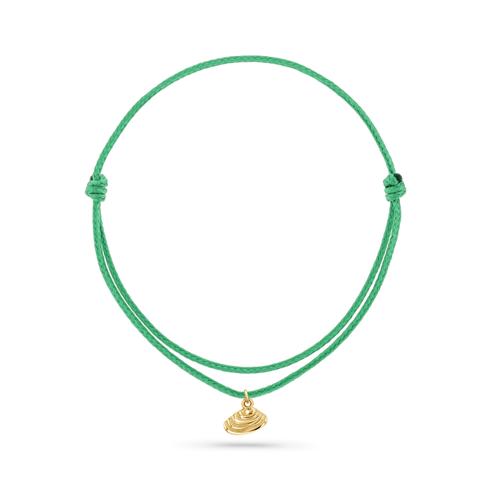 14K Yellow Gold / Venus Seashell / Green Cord