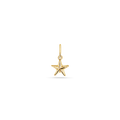 Soleil Star Seashell Charm