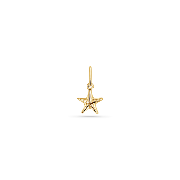 Soleil Star Seashell Charm