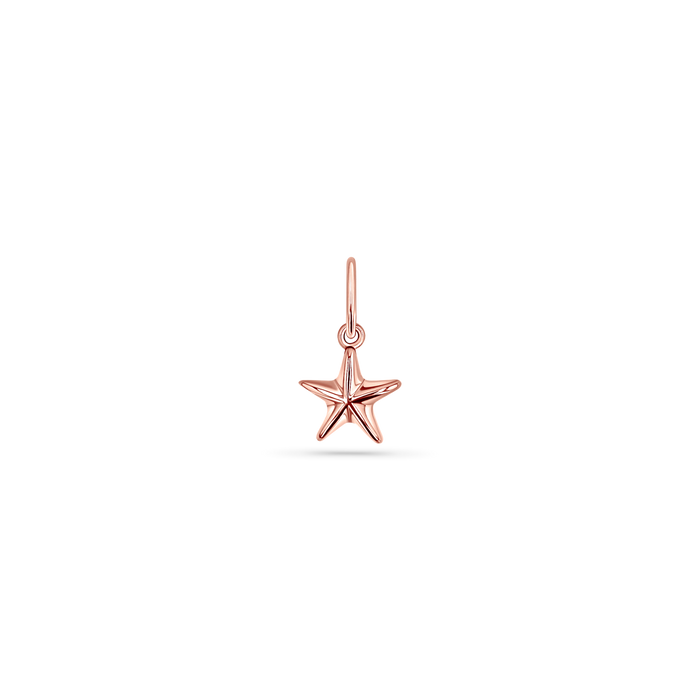 Soleil Star Seashell Charm