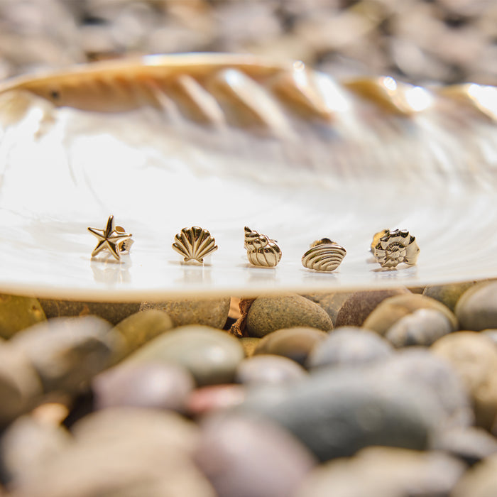 Soleil Star Seashell Stud Earrings
