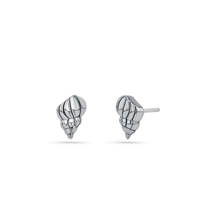 Soleil Tulip Seashell Stud Earrings