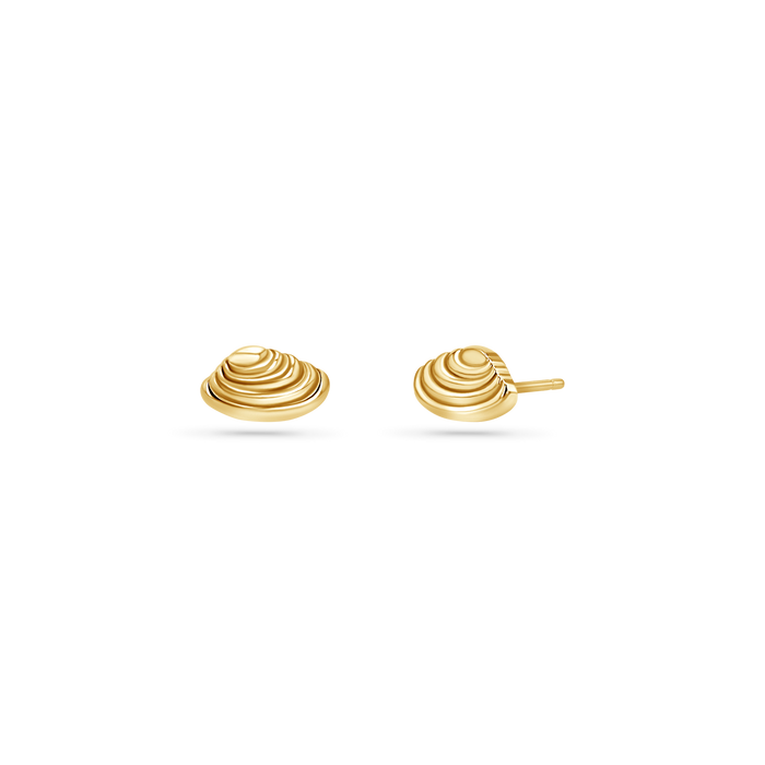 Soleil Venus Seashell Stud Earrings