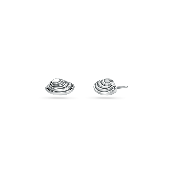 Soleil Venus Seashell Stud Earrings