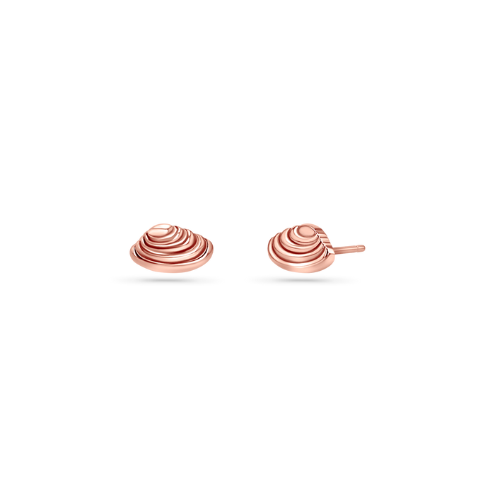 Soleil Venus Seashell Stud Earrings