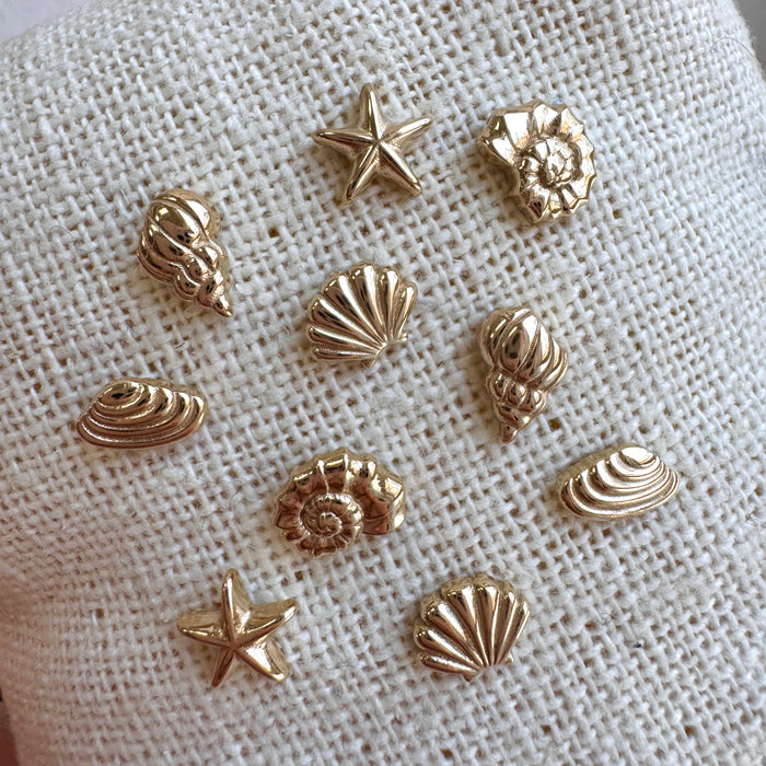 Soleil Venus Seashell Stud Earrings