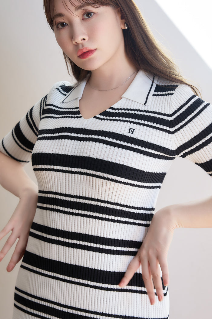 Stripe Rib Polo Dress
