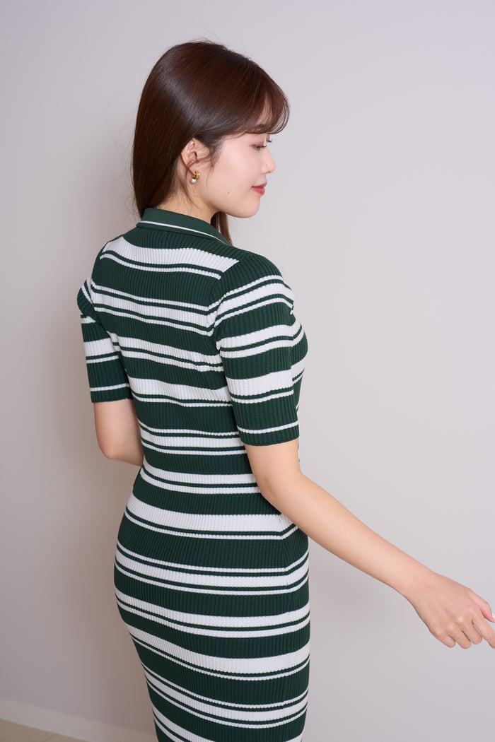 Stripe Rib Polo Dress