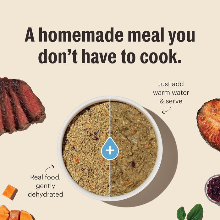 The Honest Kitchen Grain-Free Beef Dog Food – 4 lb