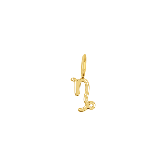 14K Yellow Gold / Capricorn