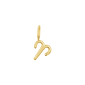 Zodiac Charm