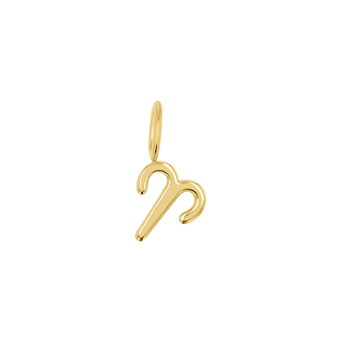 Zodiac Charm