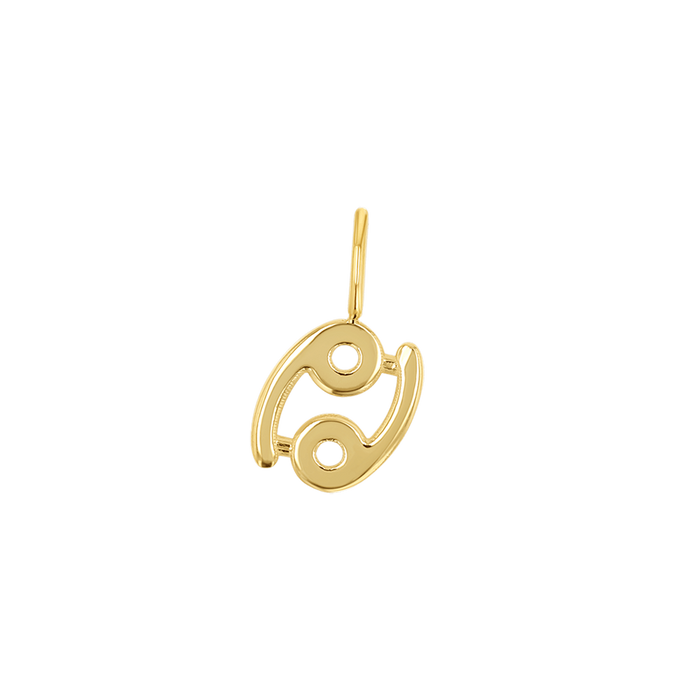 Zodiac Charm