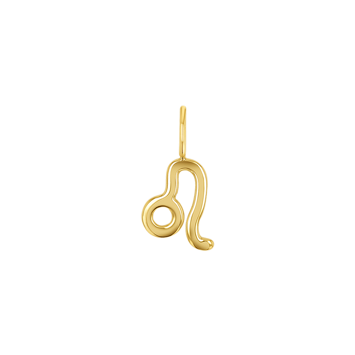 Zodiac Charm