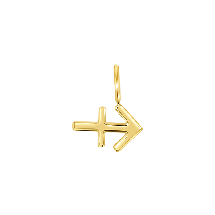 Zodiac Charm