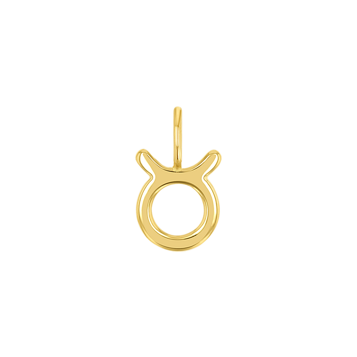 Zodiac Charm