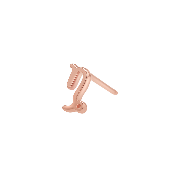 14K Rose Gold / Capricorn / Pair