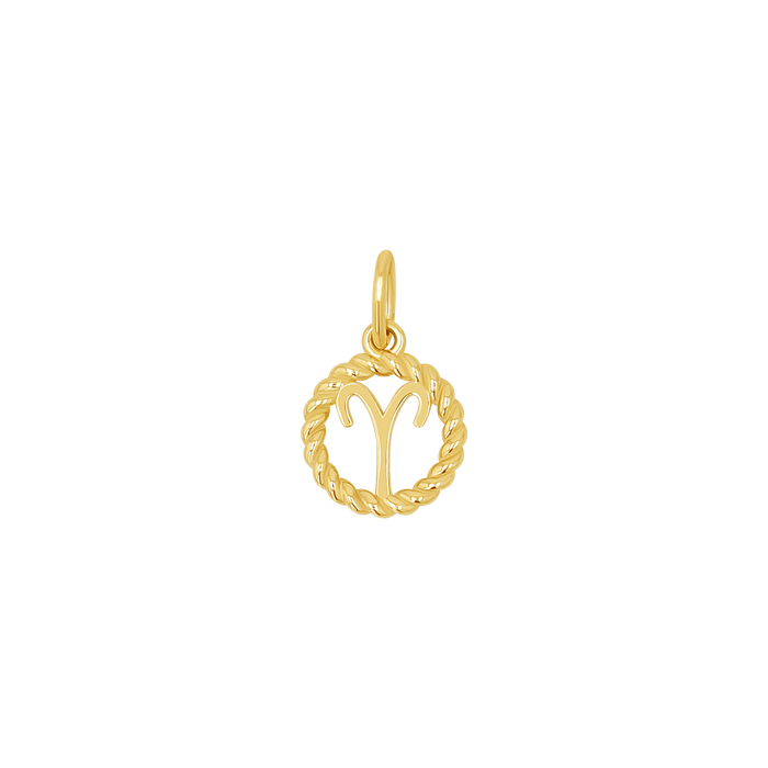 Zodiac Twist Medallion Charm