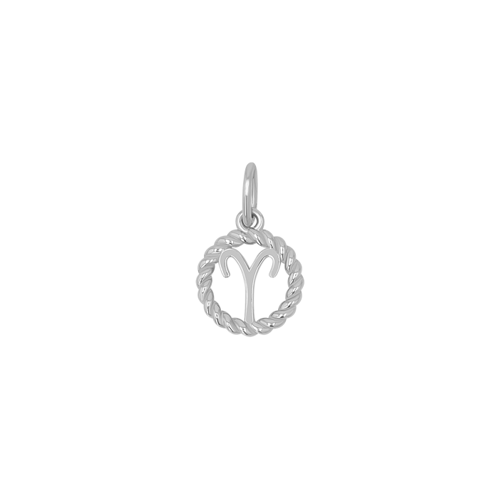 Zodiac Twist Medallion Charm