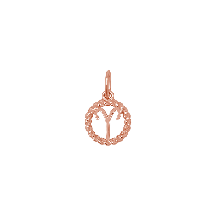Zodiac Twist Medallion Charm